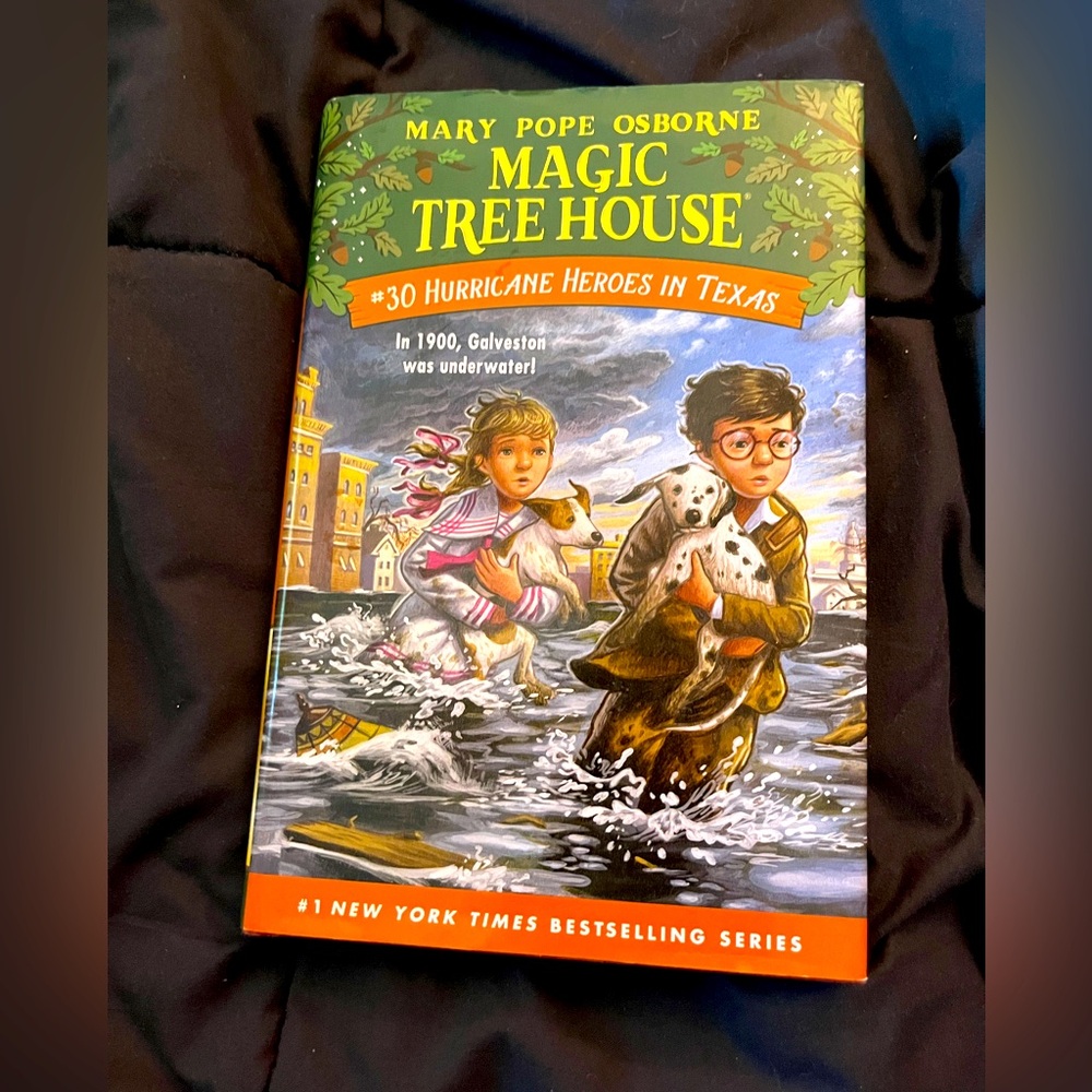 Magic treehouse book